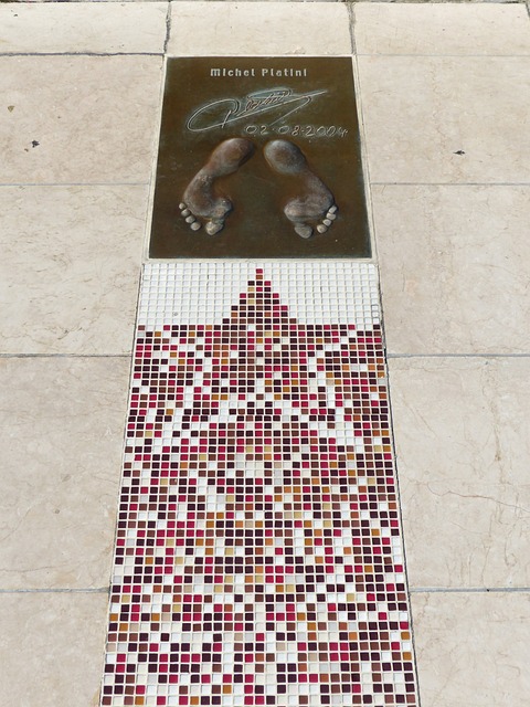 篮球篮网球队官方公布训练计划